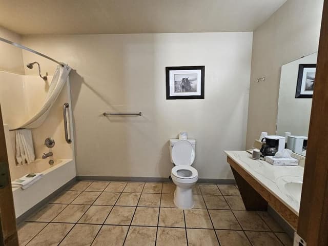 Room, 1 King Bed