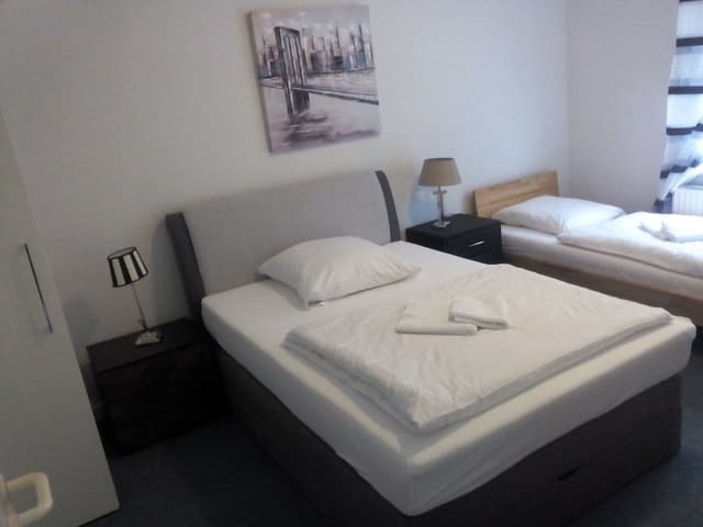 Basic Apartment, 1 Bedroom