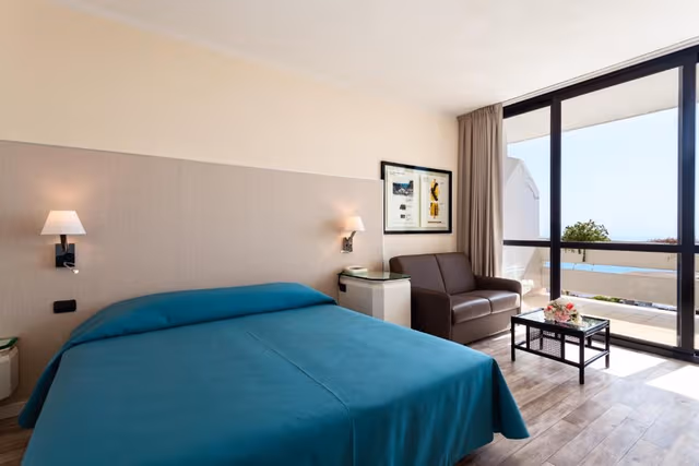 Superior Double or Twin Room