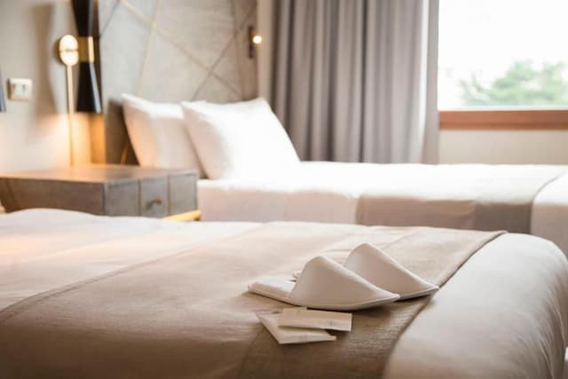 Double or Twin Room