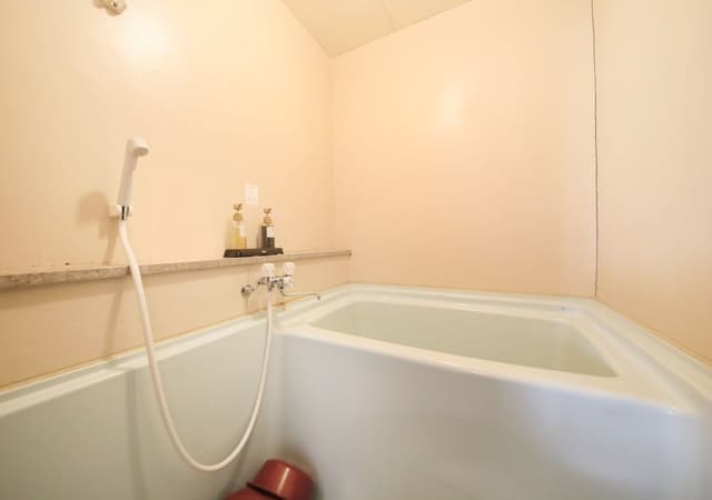 [Non Smoking] Basic Room, Japanese Style, 10 Tatami (Main Building)