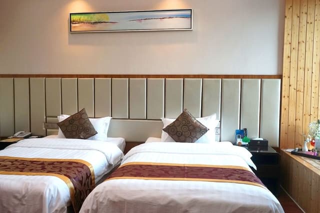 SPA Twin Room