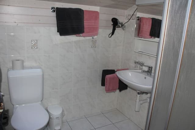 Standard Apartment, 1 Bedroom, Mountain View, Mountainside (80 CHF Cleaning Fee)