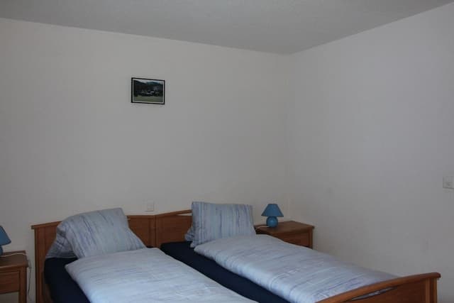 Comfort Apartment, Mountain View, Ground Floor (100 CHF Cleaning Fee)