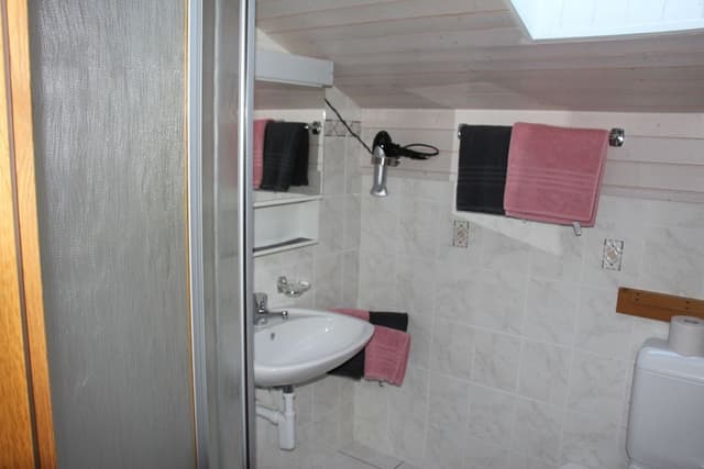 Comfort Apartment, Mountain View, Ground Floor (100 CHF Cleaning Fee)