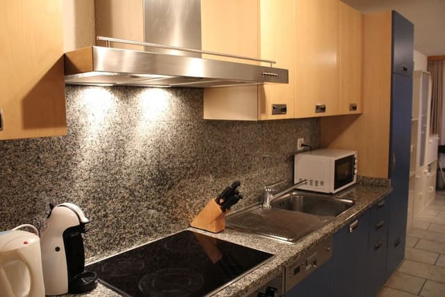 Comfort Apartment, Mountain View, Ground Floor (100 CHF Cleaning Fee)
