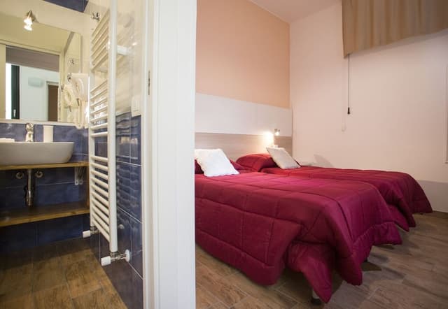 Basic Double Room Single Use, 1 Bedroom