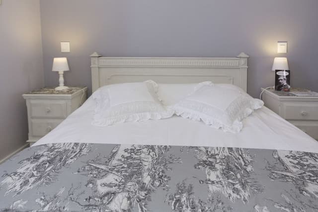 Standard Double Room (Petite) shower