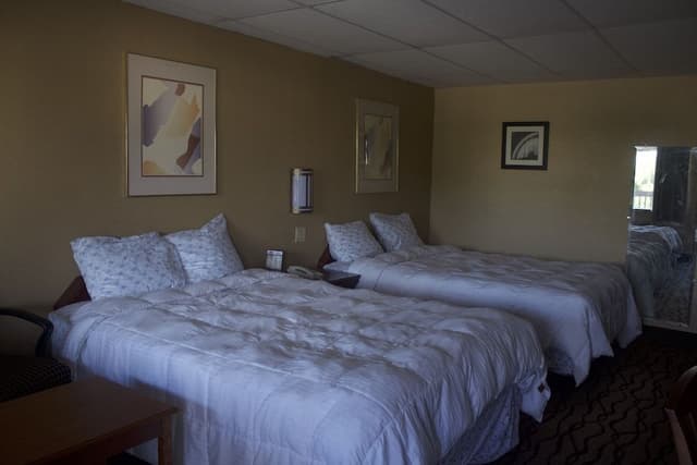 Standard Room, 2 Double Beds