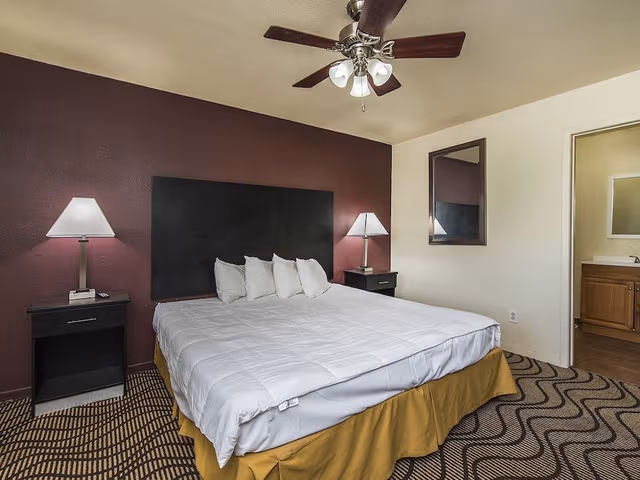 Room, 1 King Bed