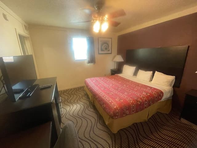 Room, 1 King Bed