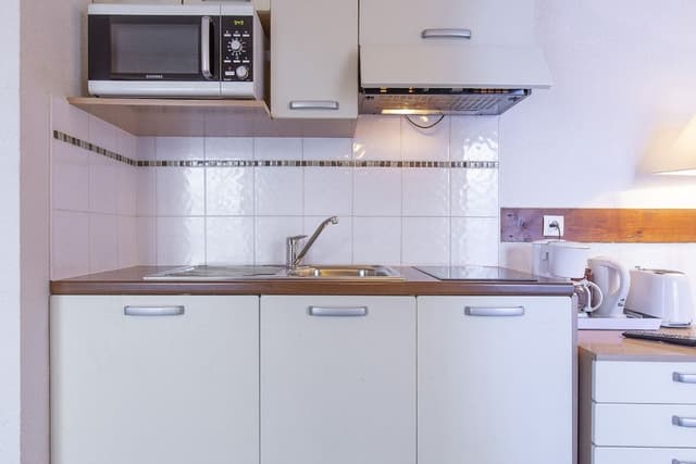 Studio, Ensuite, Mountain View (Vue Mont-Blanc - AW 102 )