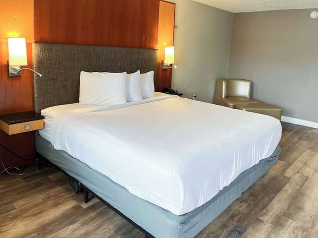 Deluxe Room, 1 King Bed, Non Smoking, Refrigerator & Microwave