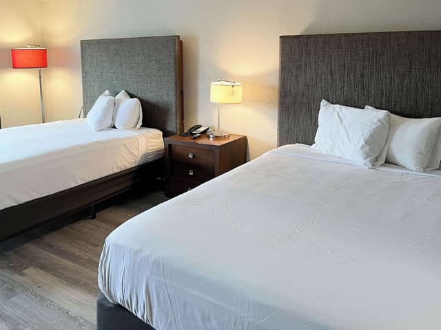 Deluxe Room, 2 Queen Beds, Non Smoking, Refrigerator & Microwave