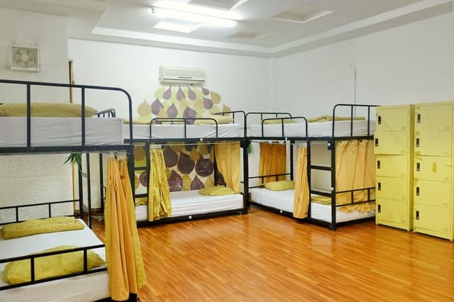 Superior Room, Mixed Dorm (36 Beds)