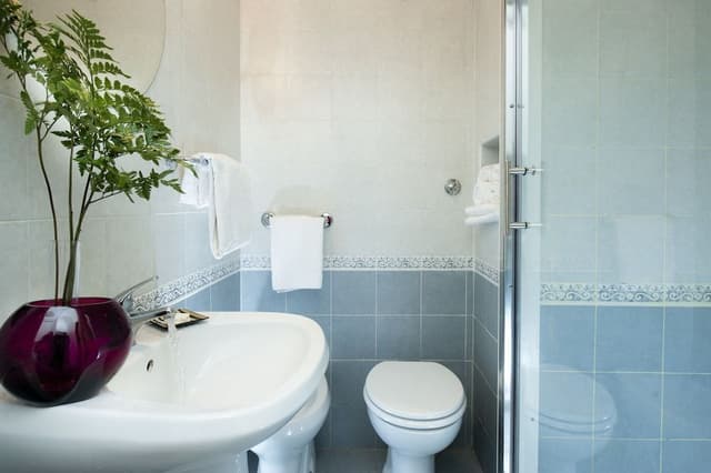 Deluxe Apartment, 3 Bedrooms