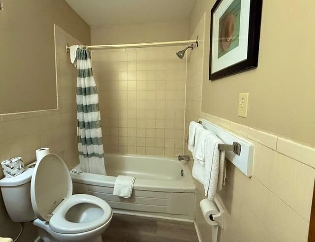 Room, 1 King Bed with Sofa bed, Non Smoking
