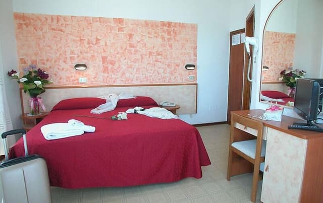 Superior Double Room Single Use