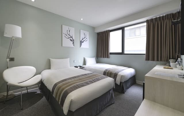 Twin Room (2 Single Beds)