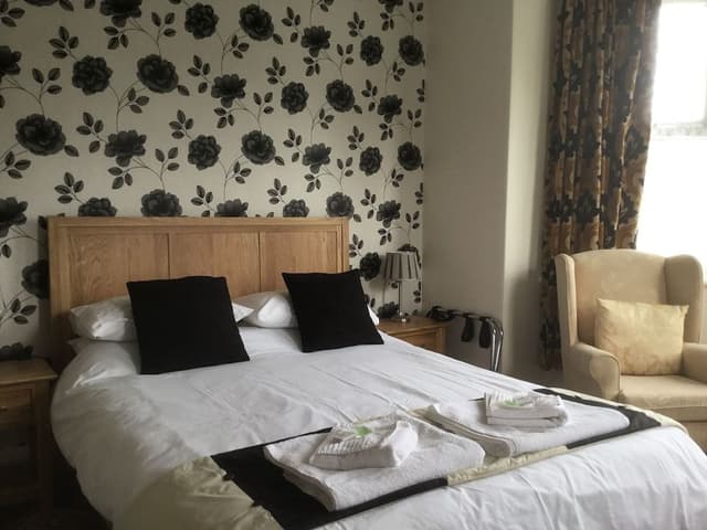 Double Room, 1 King Bed
