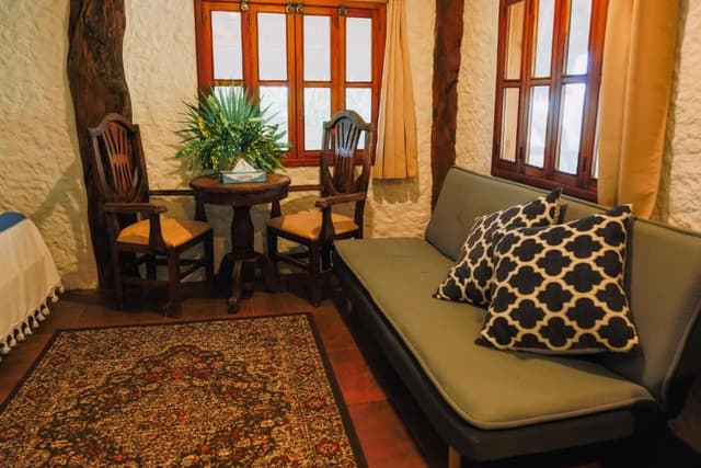 Apartment 1 King bed with Sofa bed with Kitchenette (3 people)