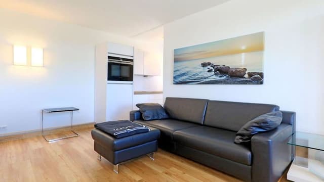 Deluxe Apartment, 1 Bedroom, Kitchen, River View