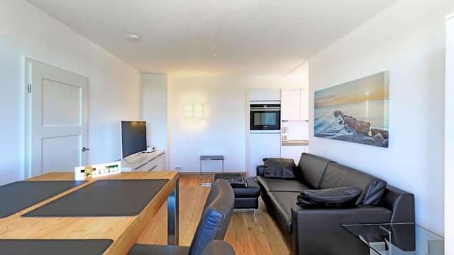 Deluxe Apartment, 1 Bedroom, Kitchen, River View