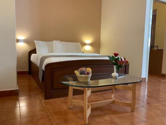 Premium Suite