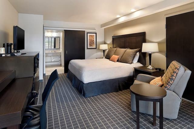 King Handicap with Tub/Shower