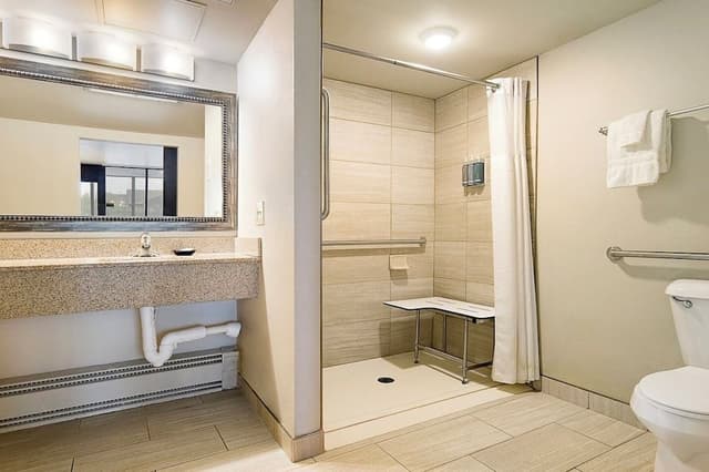 King Handicap with Roll-in Shower