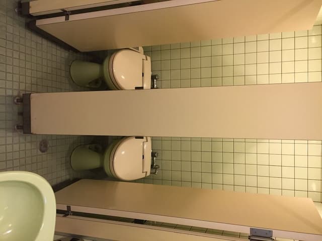 1 Capsule Male Only Floor, Shared Shower
