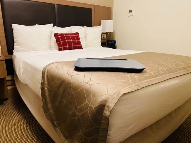 Deluxe Single Room, 1 King Bed