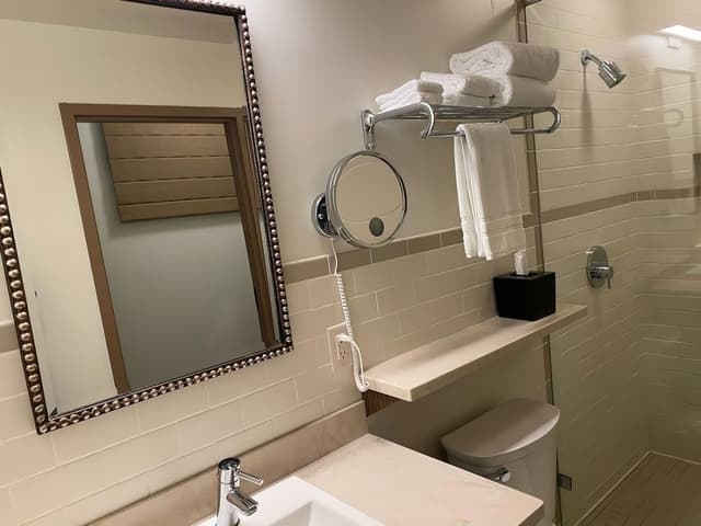 Deluxe Single Room, 1 King Bed