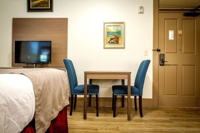 Elite Room, 1 King Bed, Accessible