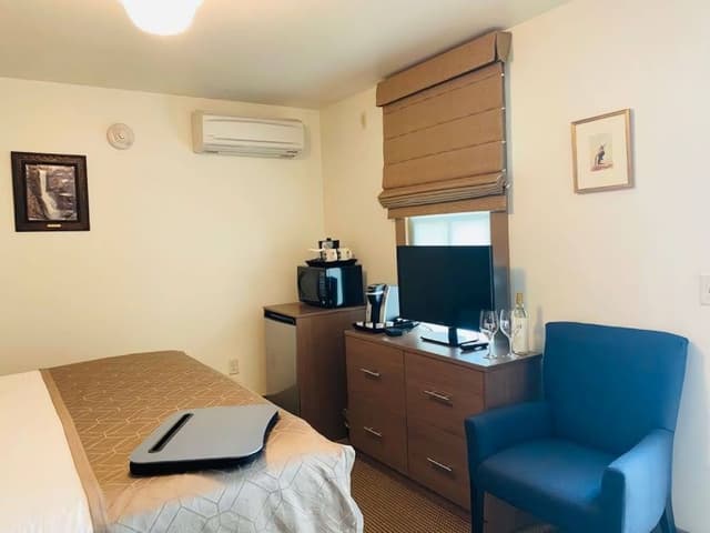 Deluxe Single Room, 1 King Bed