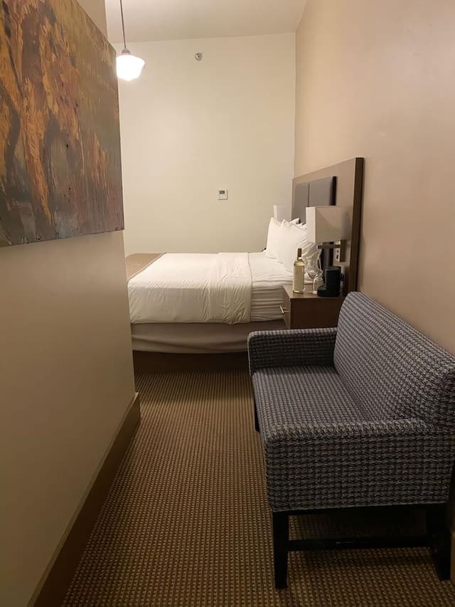 Deluxe Single Room, 1 King Bed