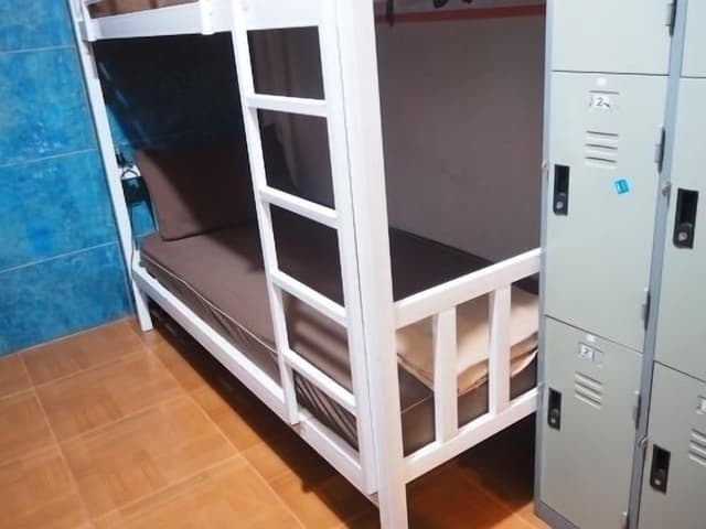 Comfort Shared Dormitory, Mixed Dorm