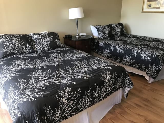 Standard Double Room, 2 Double Beds, Refrigerator & Microwave