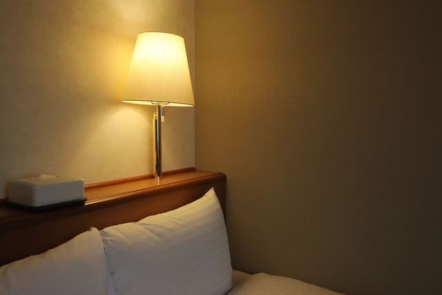 Single Deluxe Room, Smoking