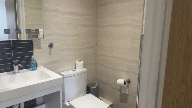 Deluxe Triple Room, Private Bathroom