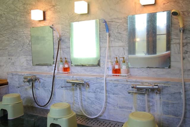 Japanese-Style Room with Shared Shower
