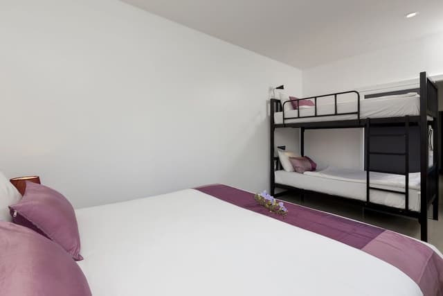 Two-Bedroom Apartment (10 adults and 5 children under 6 years old sleeping for free in existing beds