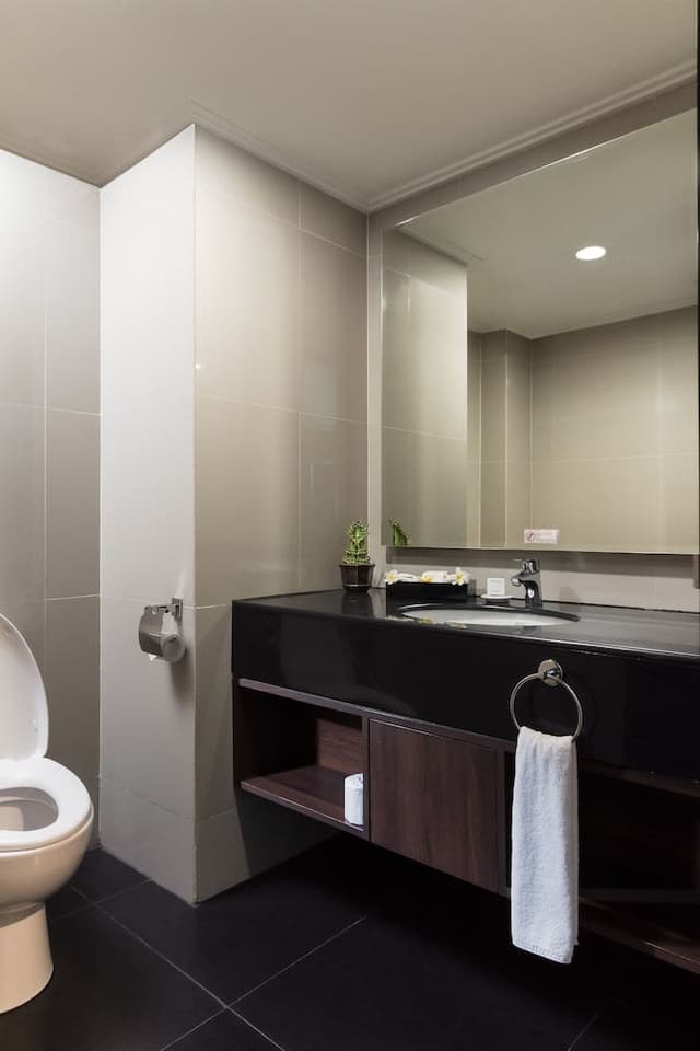 Suite, 1 King Bed, Non Smoking, City View