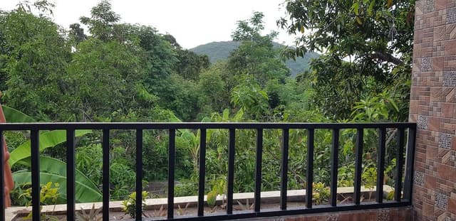 Deluxe Double or Twin Room, Mountain View