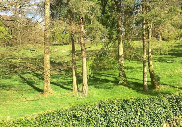Double or Twin Room, Ensuite (The Dalesway)