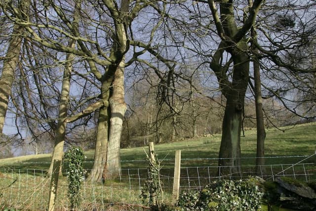 Double or Twin Room, Ensuite (The Dalesway)