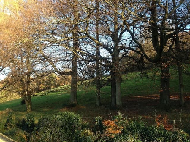 Double or Twin Room, Ensuite (The Dalesway)