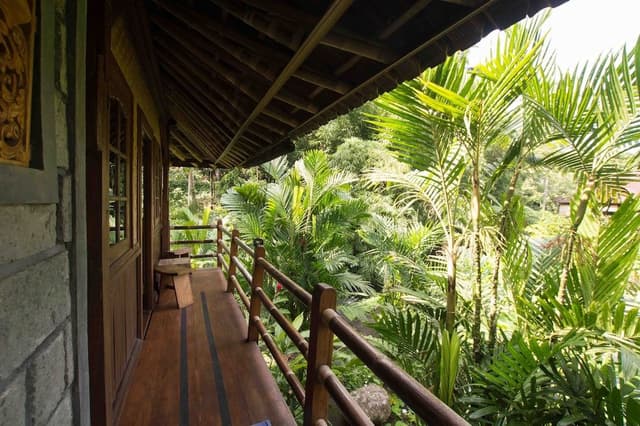 Premium Bungalow