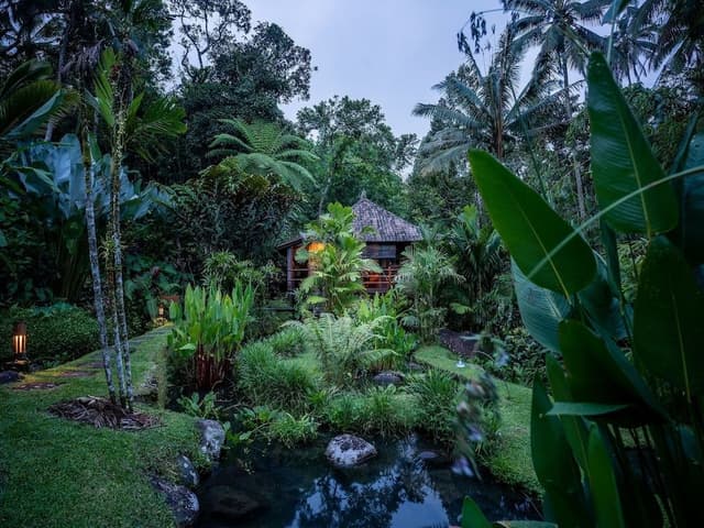Premium Bungalow