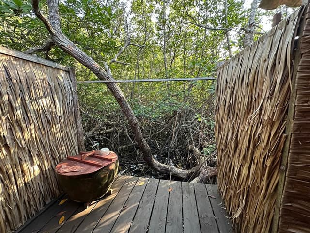 Mangrove Room 2